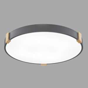 圓形三色變光吸頂燈（黑）