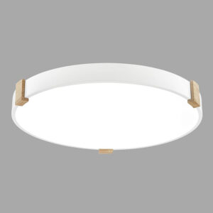 圓形三色變光吸頂燈（白）