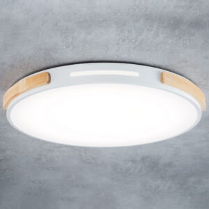 三段變光吸頂燈