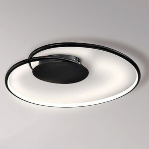 調色吸頂燈（黑）