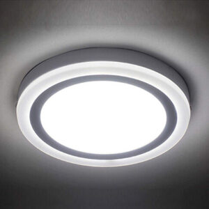 LED 24W 雙色入戶燈